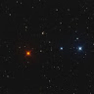 Meet your Posher, Connor